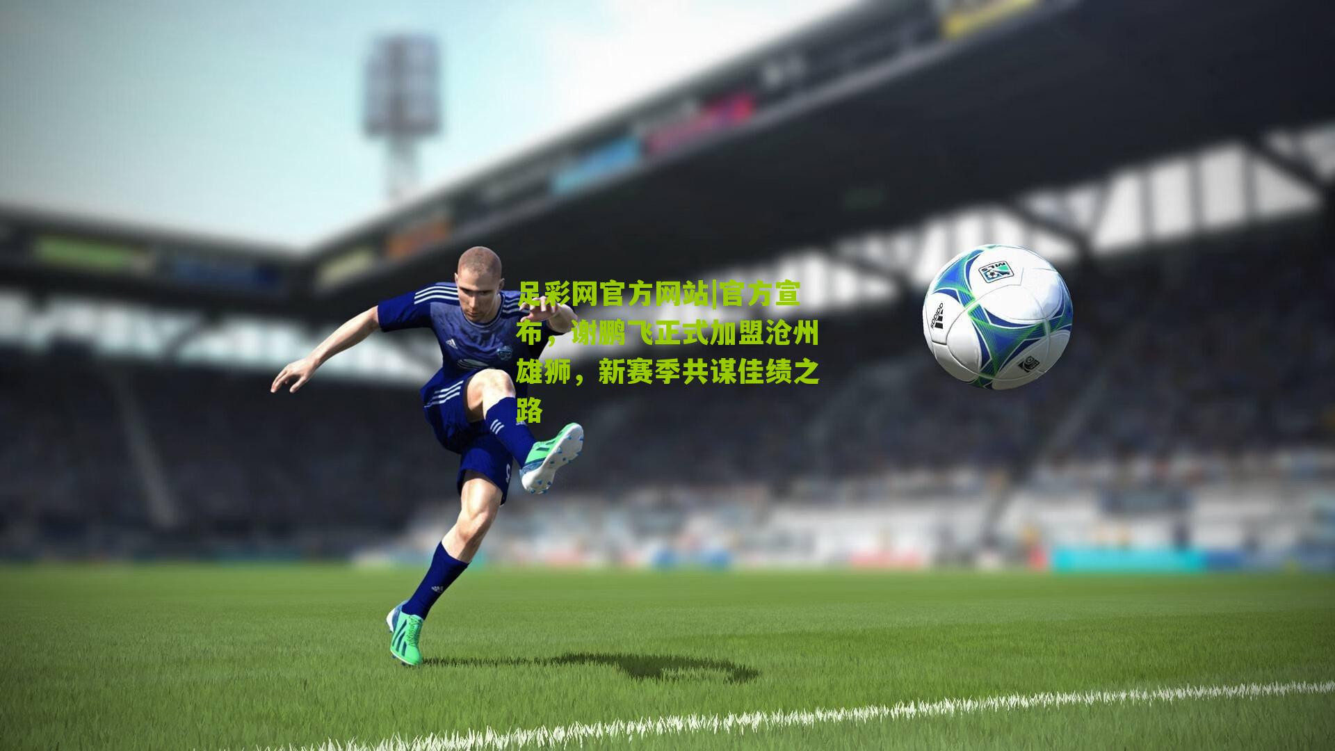 官方宣布，谢鹏飞正式加盟沧州雄狮，新赛季共谋佳绩之路