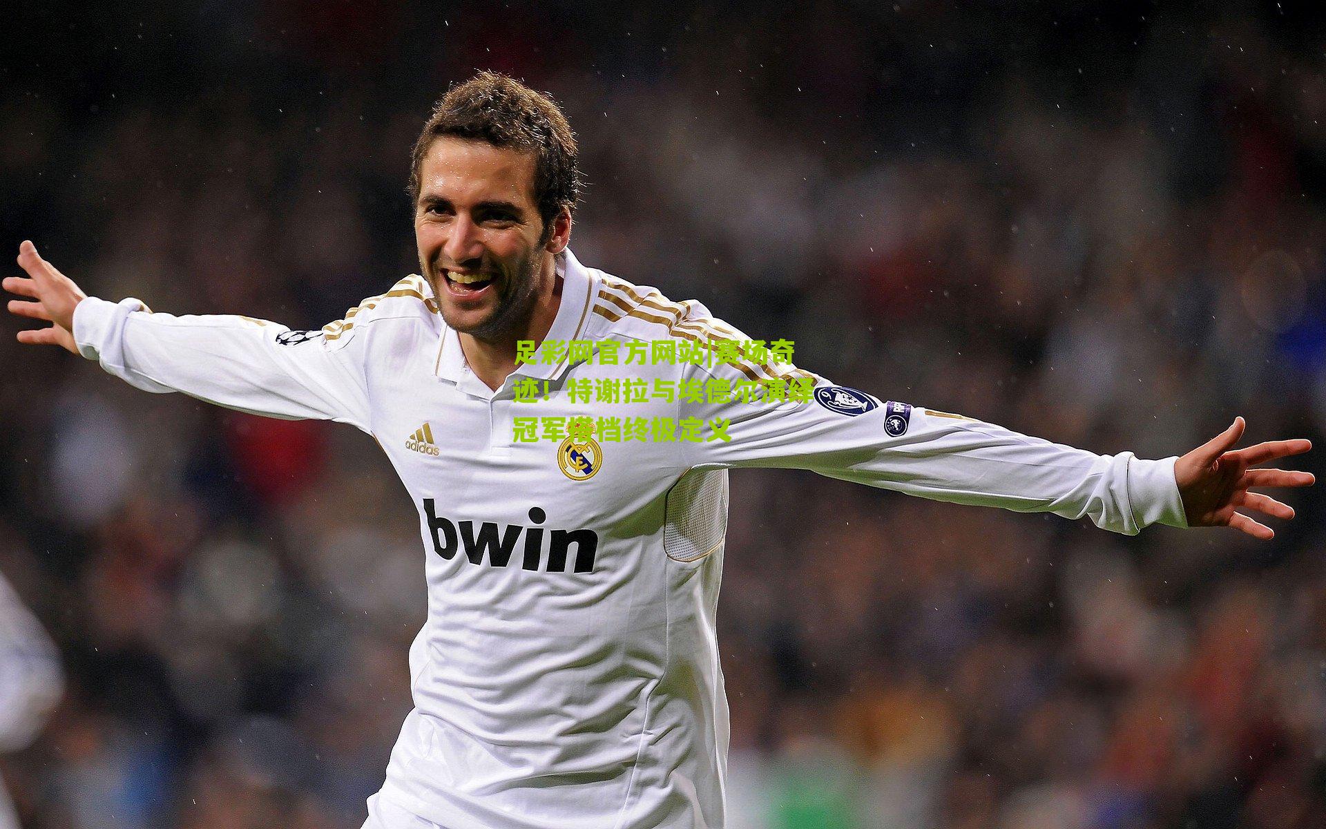 赛场奇迹！特谢拉与埃德尔演绎冠军搭档终极定义