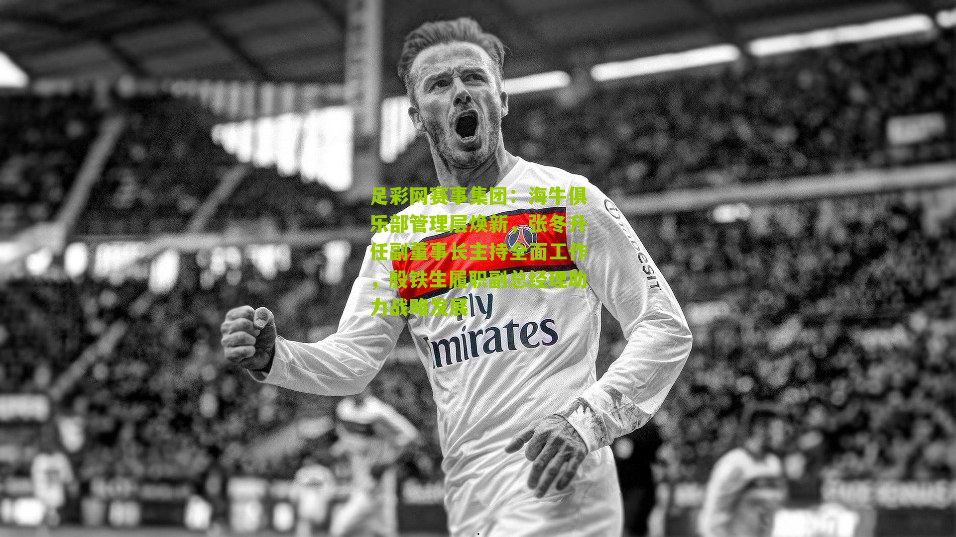 足彩网赛事集团：海牛俱乐部管理层焕新，张冬升任副董事长主持全面工作，殷铁生履职副总经理助力战略发展