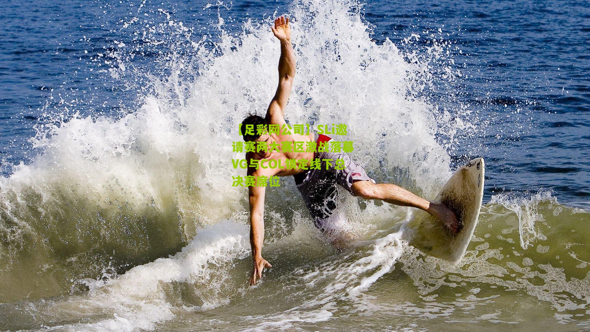 SLi邀请赛两大赛区激战落幕 VG与COL锁定线下总决赛席位