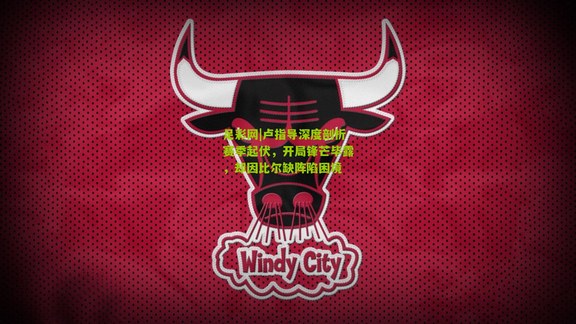 卢指导深度剖析赛季起伏，开局锋芒毕露，却因比尔缺阵陷困境