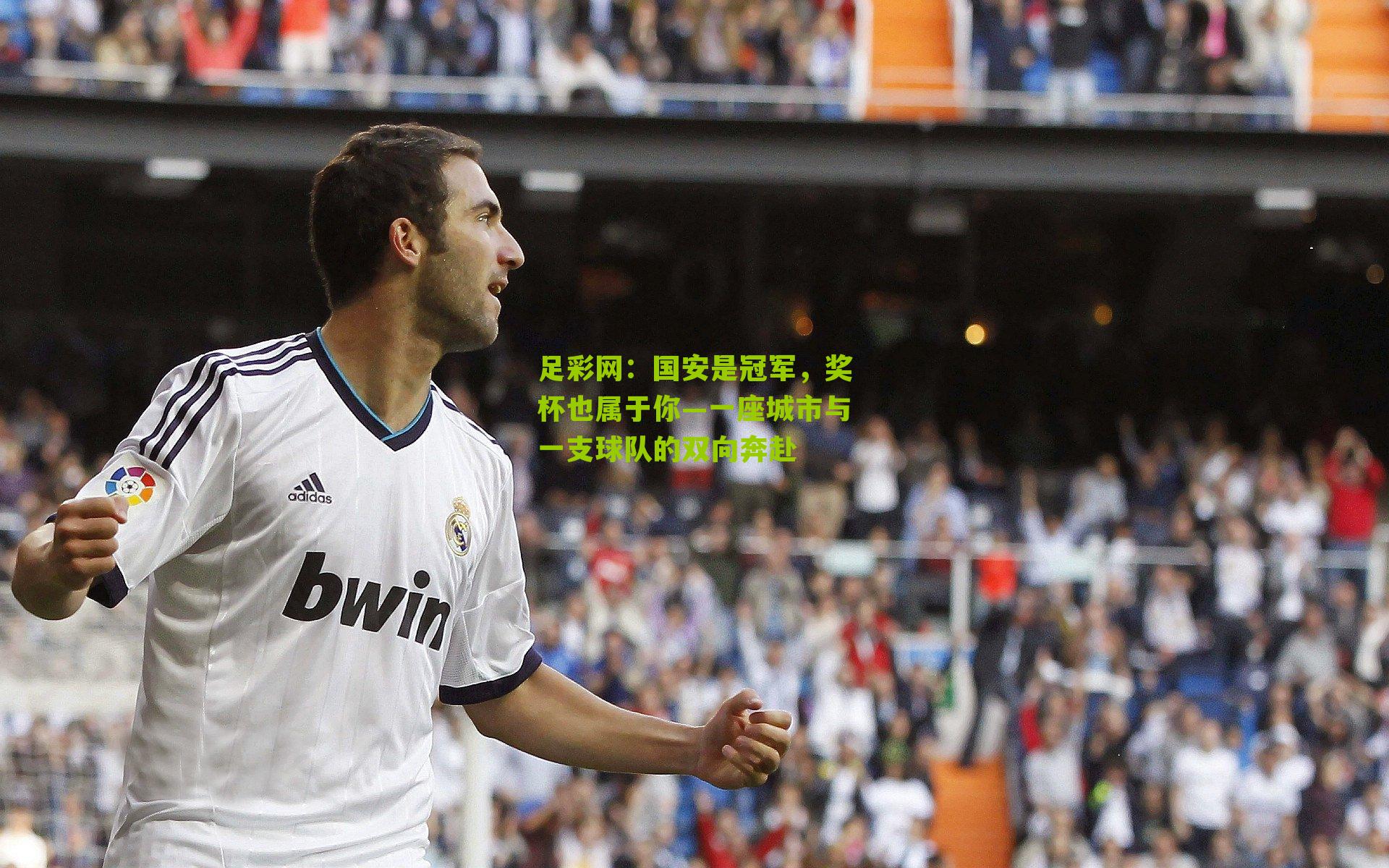 国安是冠军，奖杯也属于你—一座城市与一支球队的双向奔赴
