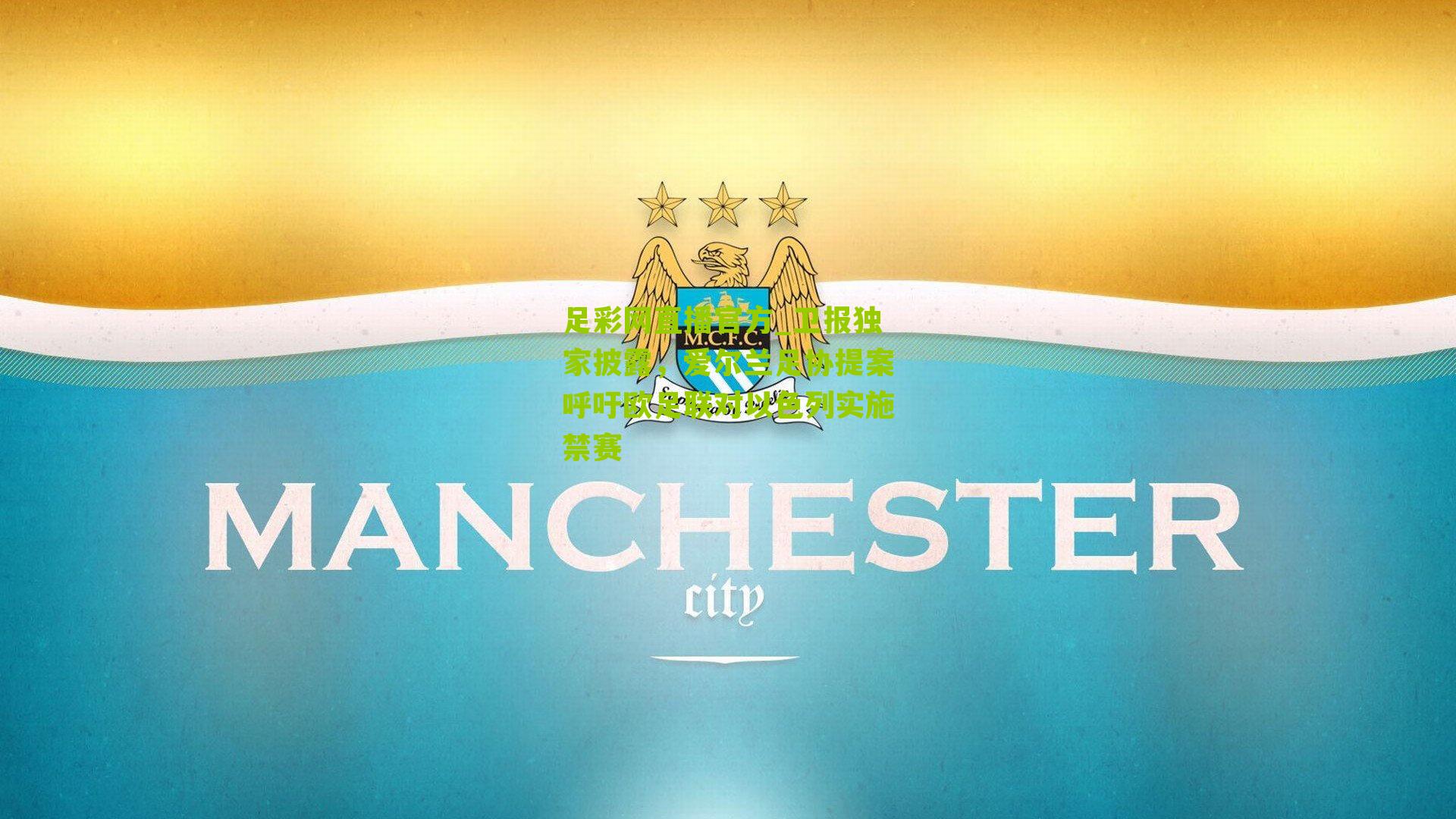 卫报独家披露,爱尔兰足协提案呼吁欧足联对以色列实施禁赛